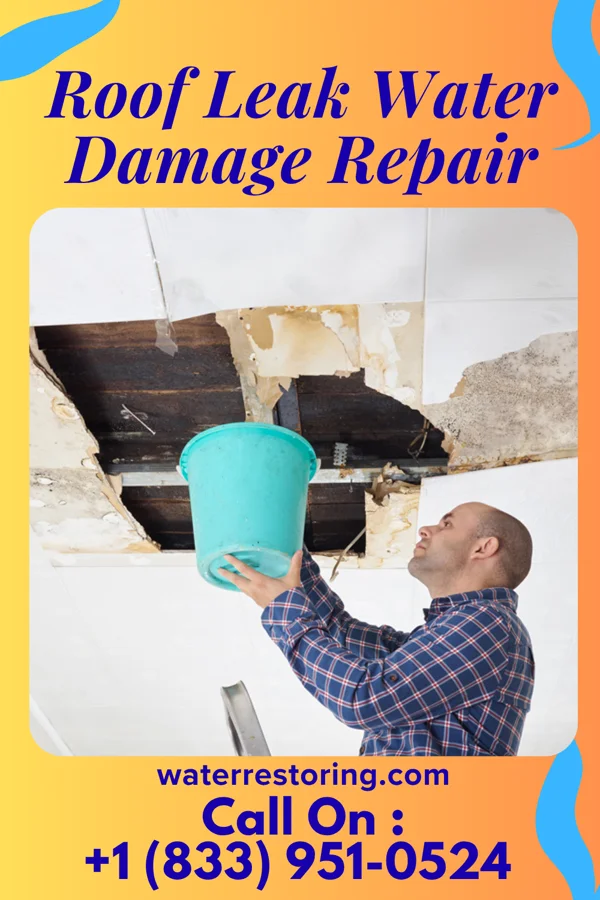 Roof Leak Water Damage Repair in Escondida, NM
